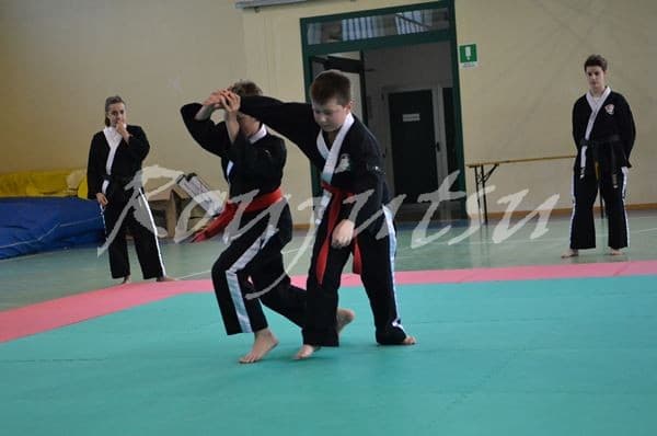 Esami Maggio 2015 - Foto 22