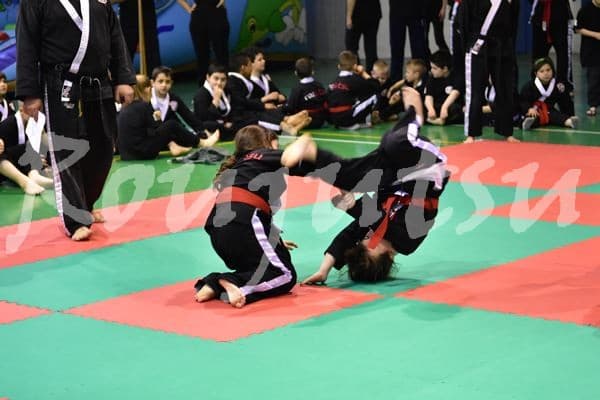 Esibizione Agnosine 2016 - Foto 2