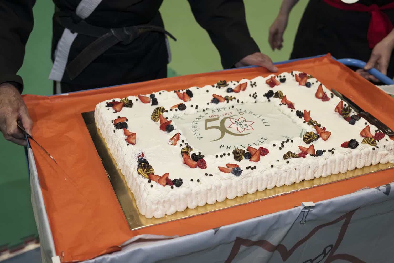 Festa 50° - Foto 221