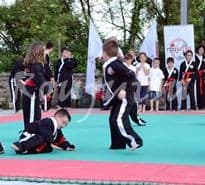 Festa Age 2015 - Roujutsu