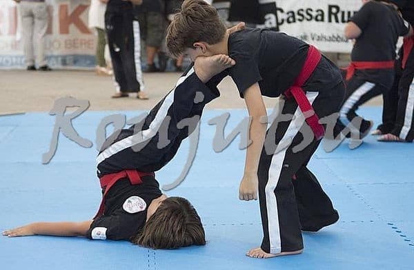 Festa di Mezza Estate 2017 - Foto 3