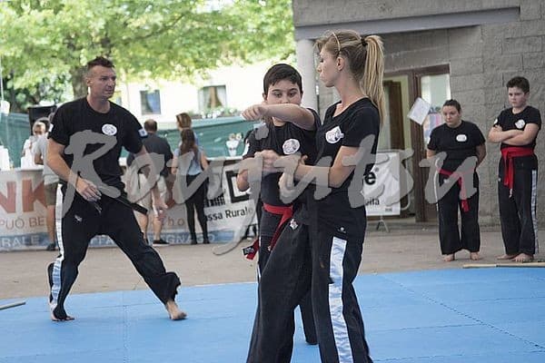 Festa di Mezza Estate 2017 - Foto 17