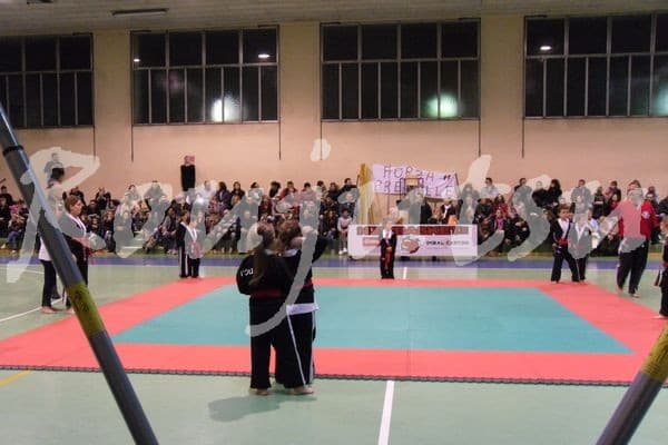 Festa Natale 2015 - Foto 11