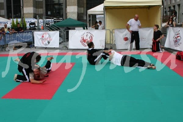 Festa dello Sport 2014