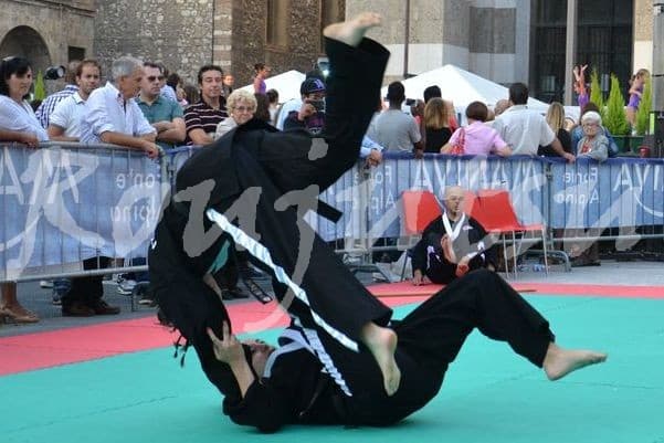 Festa dello Sport 2014 - Foto 1