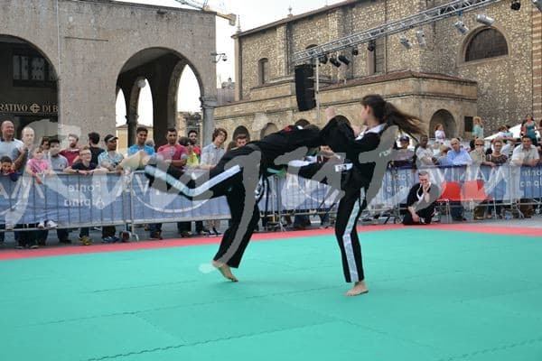 Festa dello Sport 2014 - Foto 5